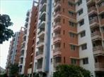 DSR Spring Beauty, 2 & 3 BHK Apartments